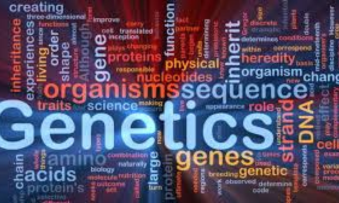 lwfgyj0i59_____genetika lwfgyj0i59_____genetika